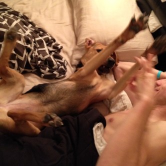 photo (3)