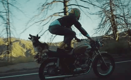 Screen Shot 2016-09-05 at 8.52.01 PM