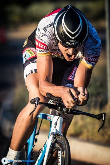 kennettron-photo-on-petunia